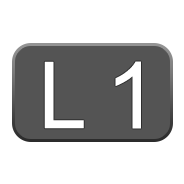 L1